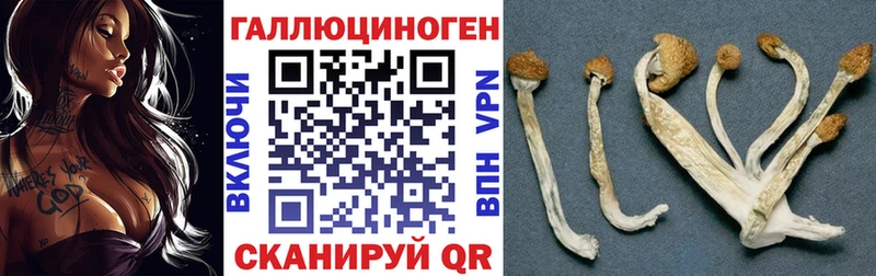 Псилоцибиновые грибы MAGIC MUSHROOMS  darknet наркотические препараты  Иннополис  цена  